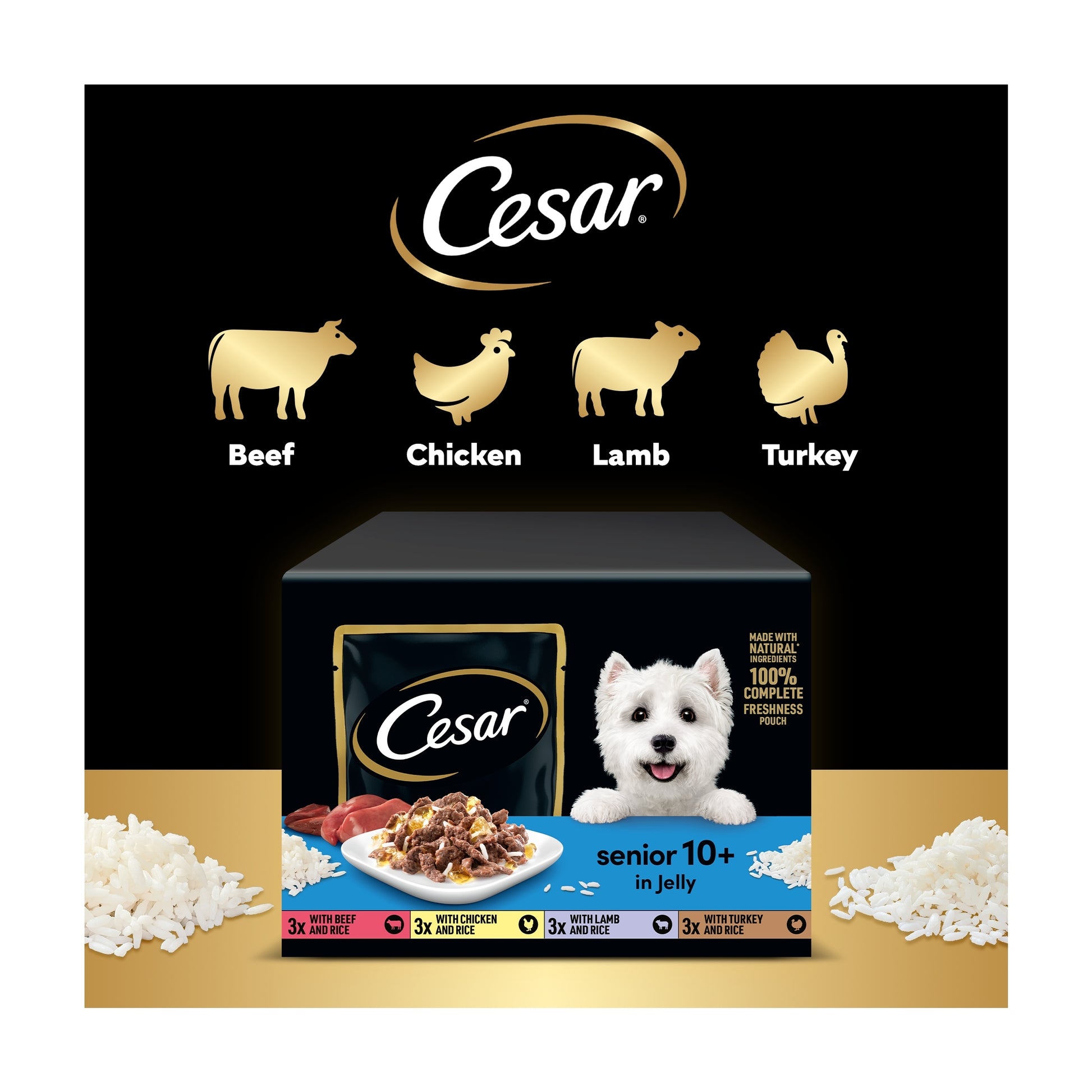 Cesar Senior Wet Dog Food Pouches Mixed in Jelly 12x100g — image 4