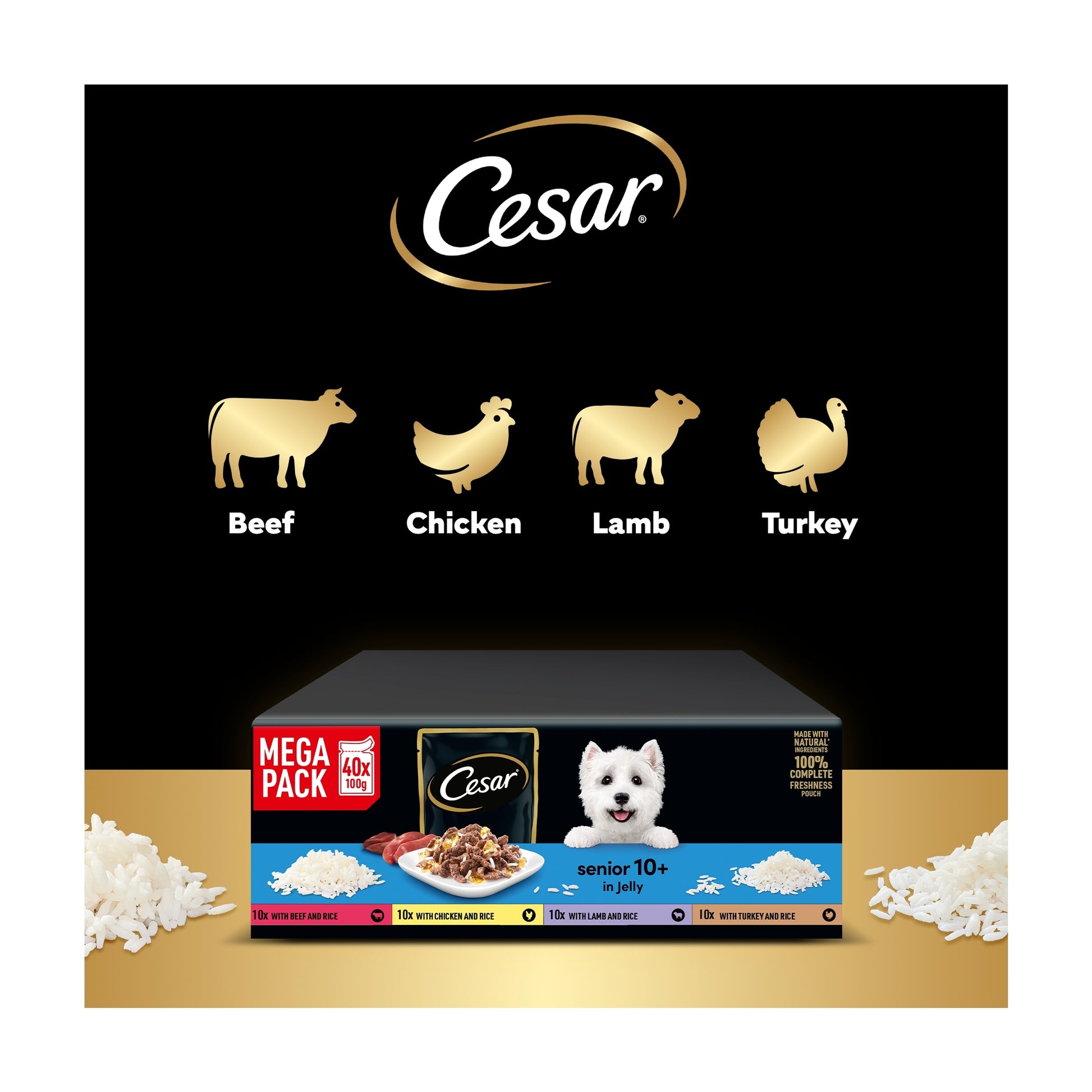 CESAR Senior Wet Dog Food Pouches Sauce Mixed Selection in Jelly 40x100g — image 4