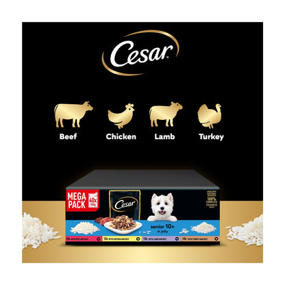 CESAR Senior Wet Dog Food Pouches Sauce Mixed Selection in Jelly 40x100g — image 4