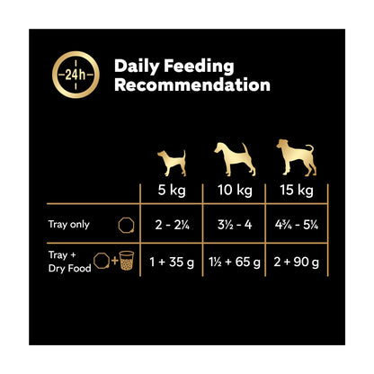 Cesar Senior Wet Dog Food Trays Meat in Delicate Jelly 8 x 150g — image 5