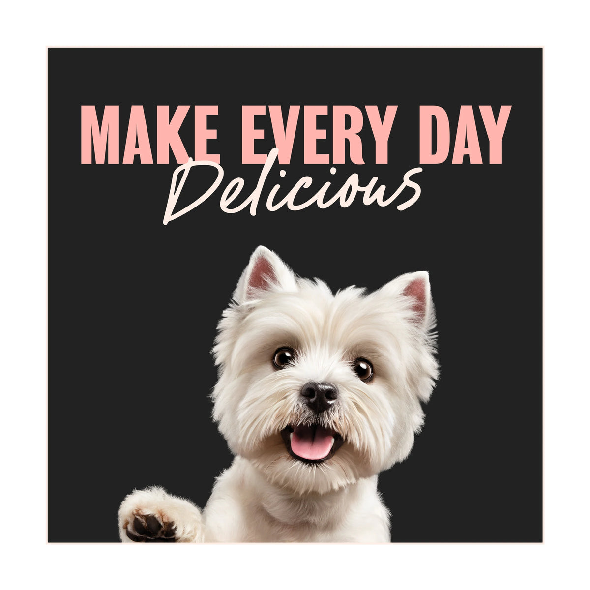 CESAR Wet Dog Food Classic Terrine with Chicken in Loaf 4 x 300g — image 3