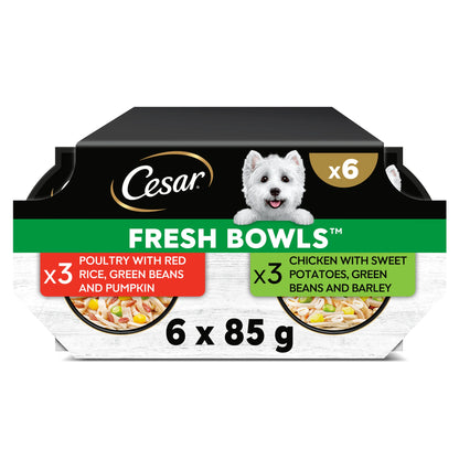 CESAR Wet Dog Food Fresh Bowls in Gravy 6 x 85g — image 1