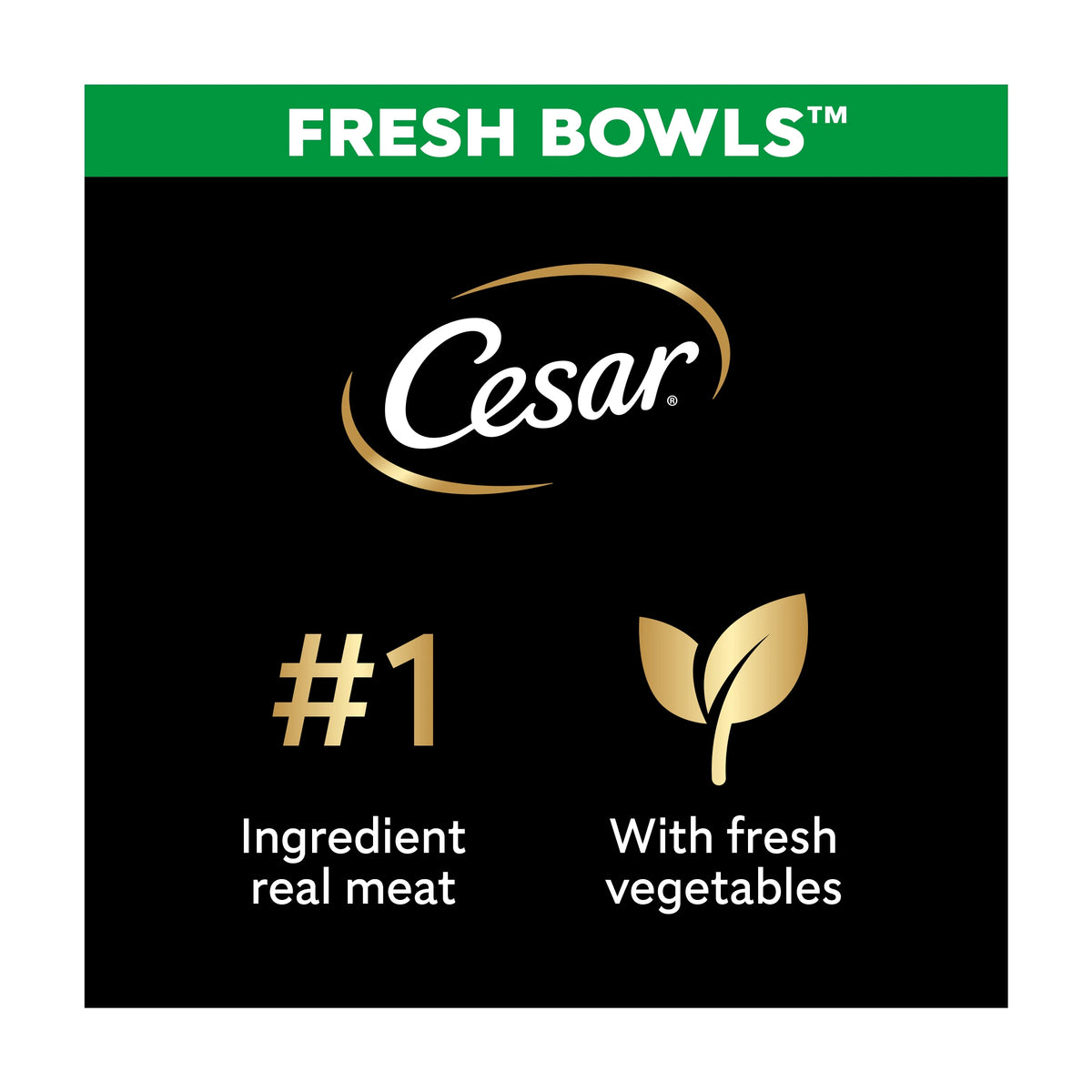 CESAR Wet Dog Food Fresh Bowls in Gravy 6 x 85g — image 2