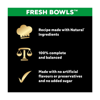 CESAR Wet Dog Food Fresh Bowls in Gravy 6 x 85g — image 3