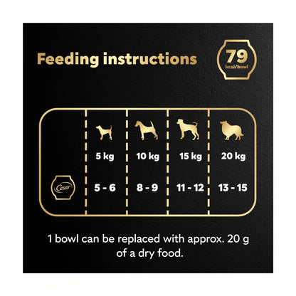 CESAR Wet Dog Food Fresh Bowls in Gravy 6 x 85g — image 5