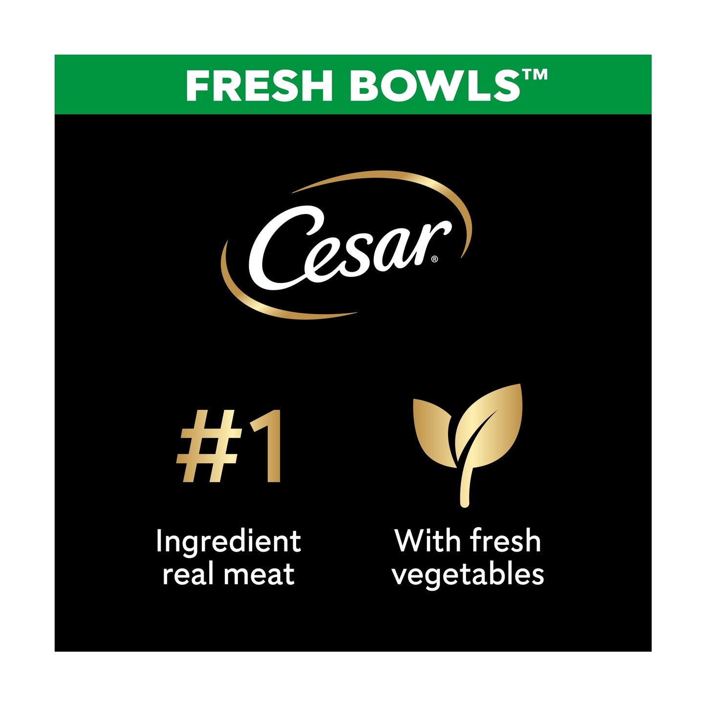 CESAR Wet Dog Food Fresh Bowls mixed selection of Poultry and Fresh Vegetables 6 x 85g — image 2