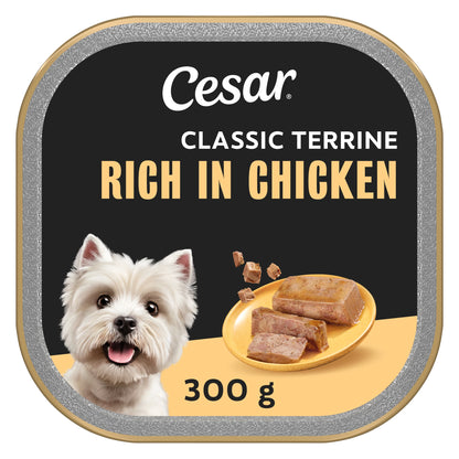 CESAR Wet Dog Food Garden Terrine with Chicken in Loaf 300g — image 1