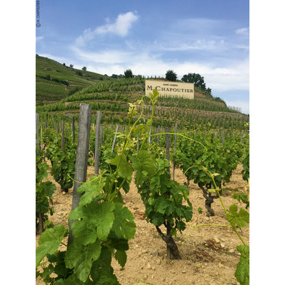 Chapoutier Cotes Du Rhone Villages 75Cl — image 5