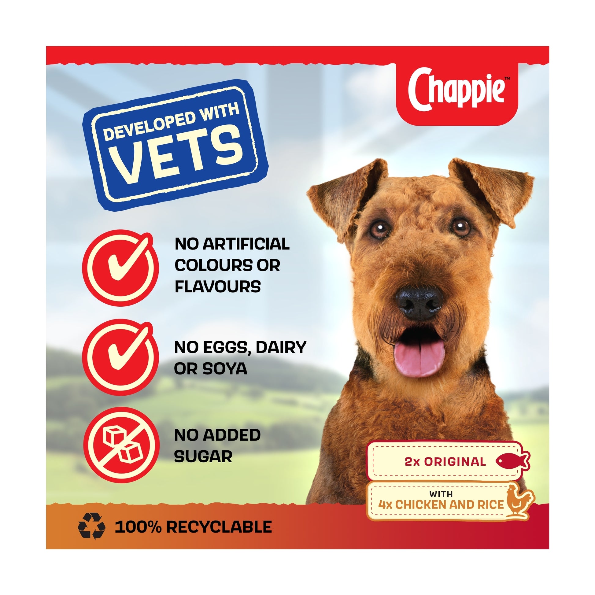 Chappie Adult Wet Dog Food Tins Favourites in Loaf 6 x 412g — image 2