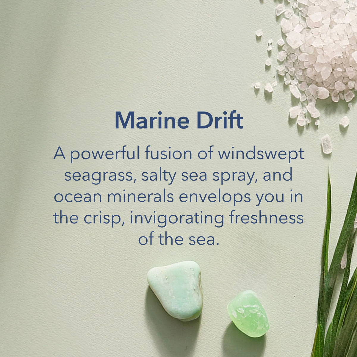 Chesapeake Bay Marine Drift Medium Candle 227g — image 2