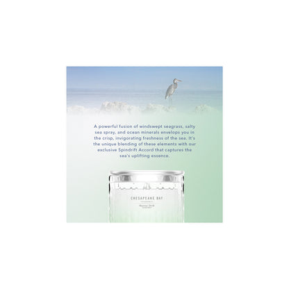 Chesapeake Bay Marine Drift Small Candle 127g — image 2