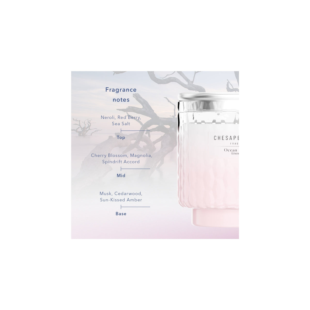 Chesapeake Bay Ocean Blossom Small Candle 127g — image 3