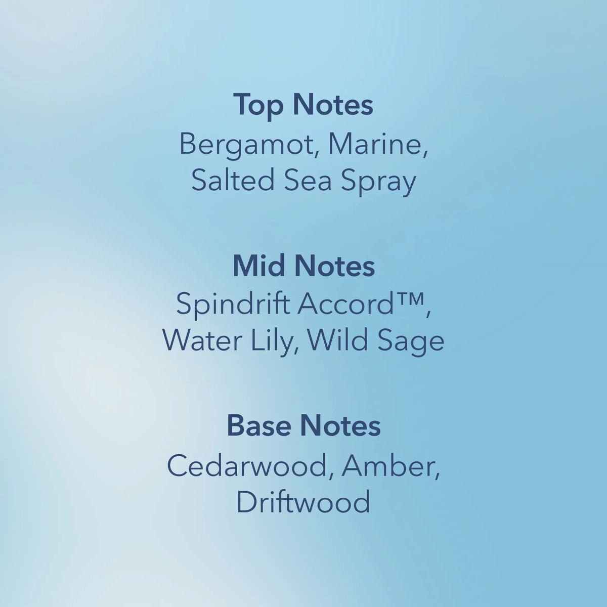 Chesapeake Bay Serene Waters Large Candle 312g — image 3