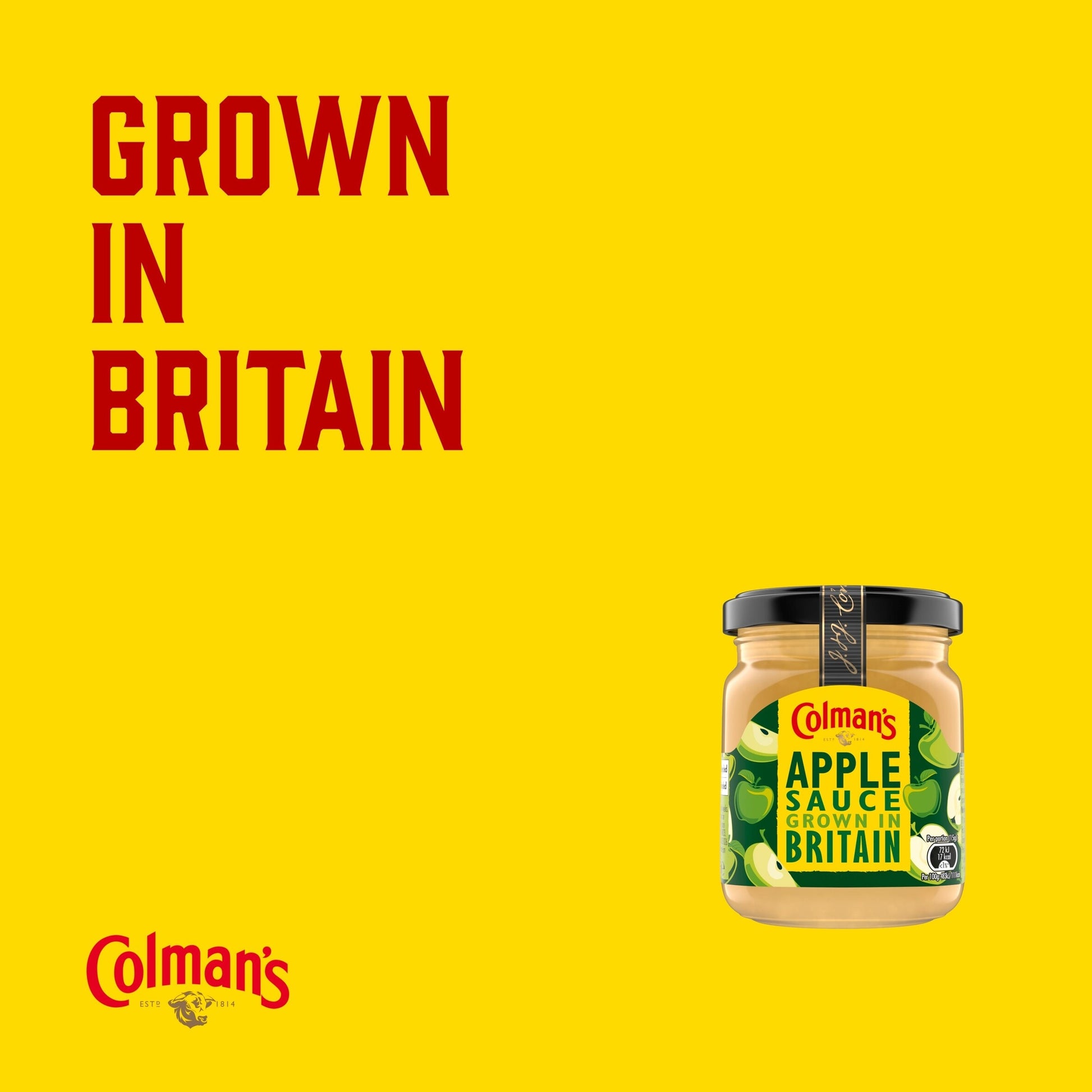 Colman's Bramley Apple Sauce 155G — image 2