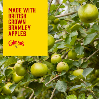 Colman's Bramley Apple Sauce 155G — image 3