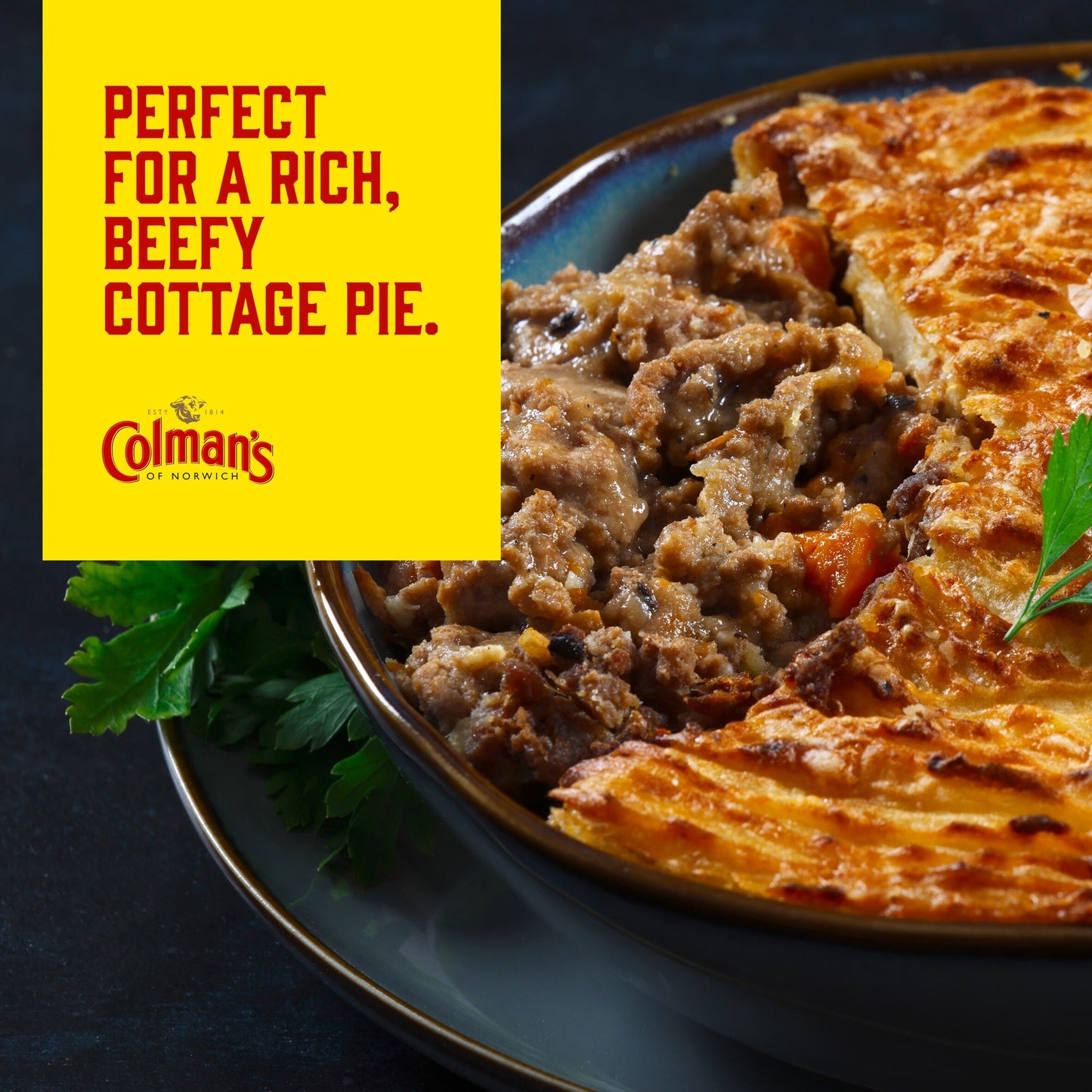 Colman's Cottage Pie Recipe Mix 45G — image 5