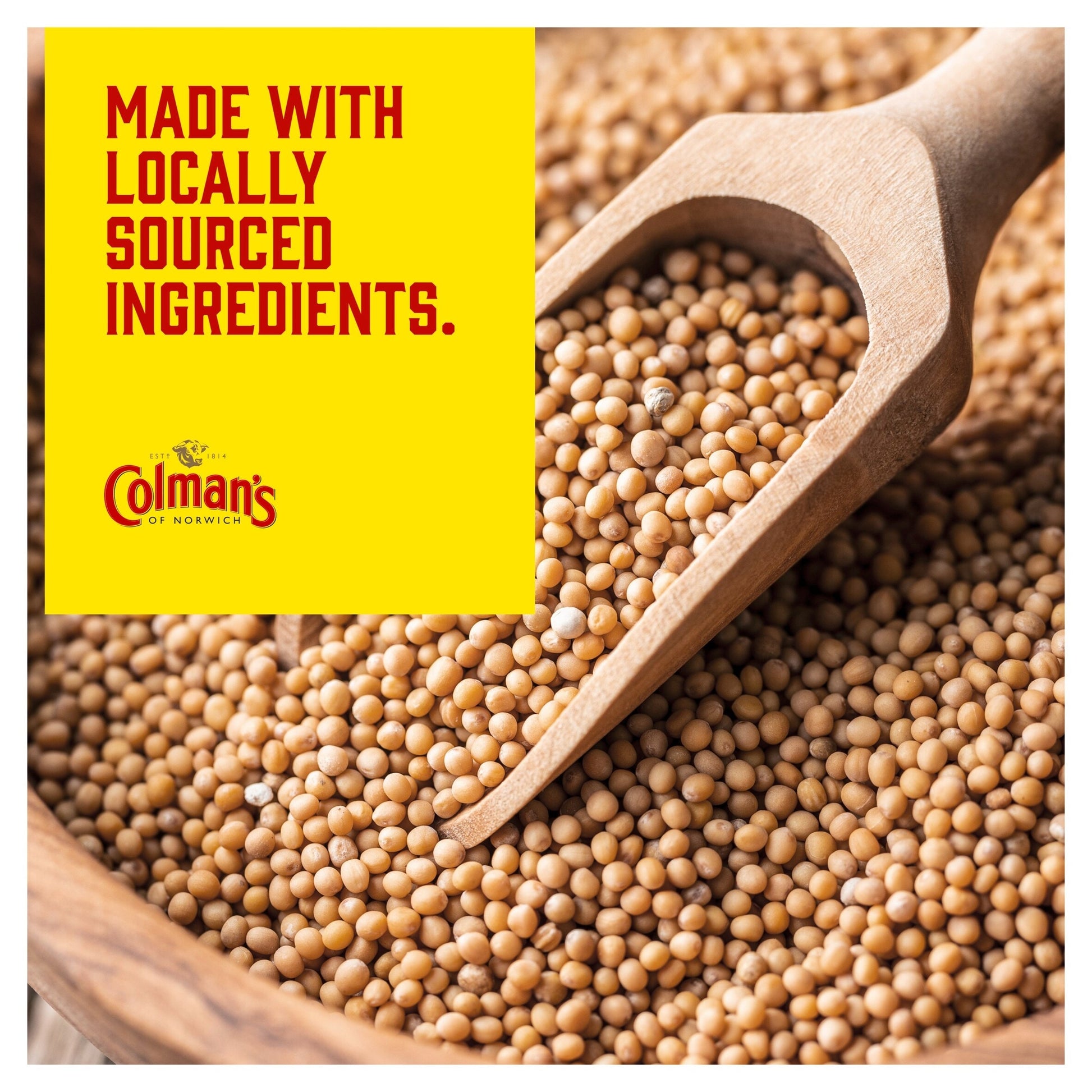 Colman's Original English Mustard Jar 100G — image 4