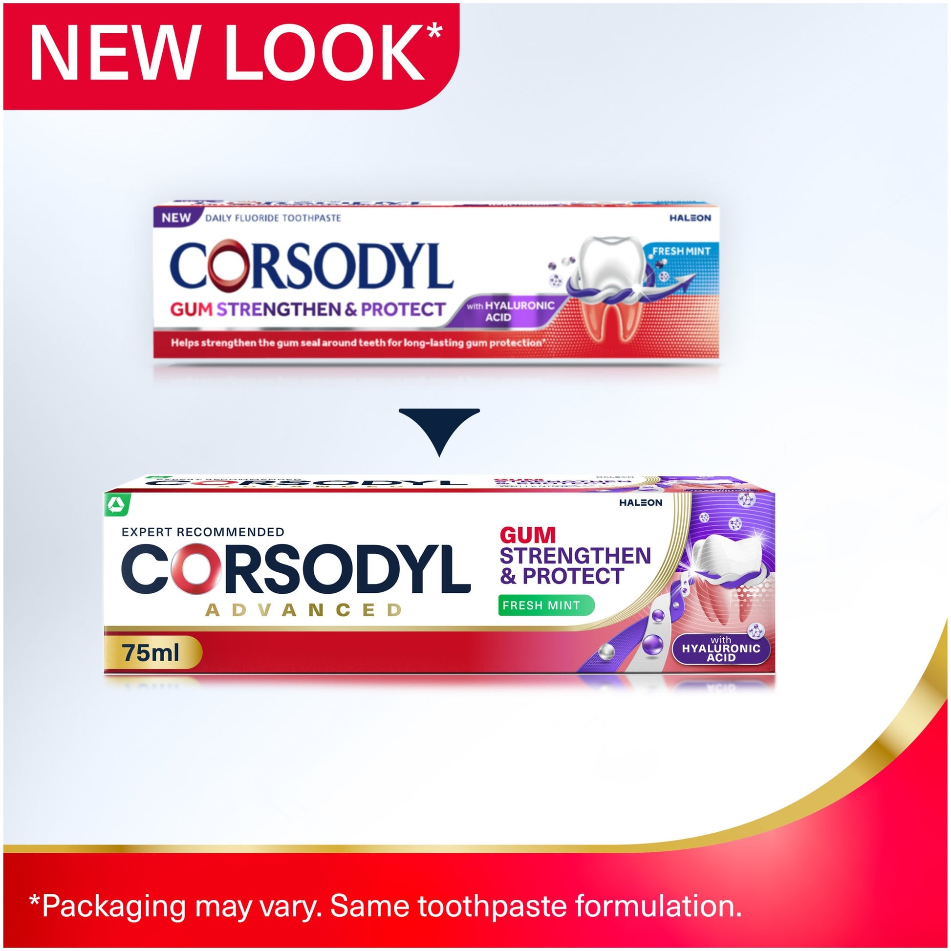 Corsodyl Gum Strengthen & Protect Toothpaste - Fresh Mint 75ml — image 2