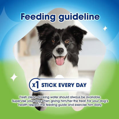 DENTALIFE ActivFresh Large Dental Chicken Dog Chews 4 Sticks — image 5
