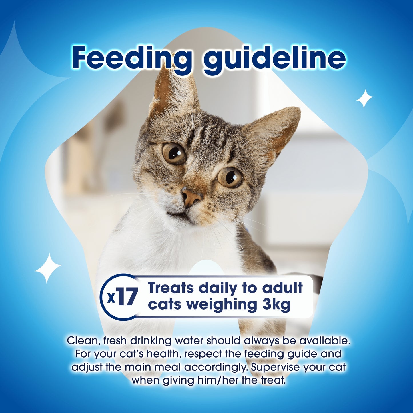 DENTALIFE Dental Chicken Cat Treats 40g — image 5