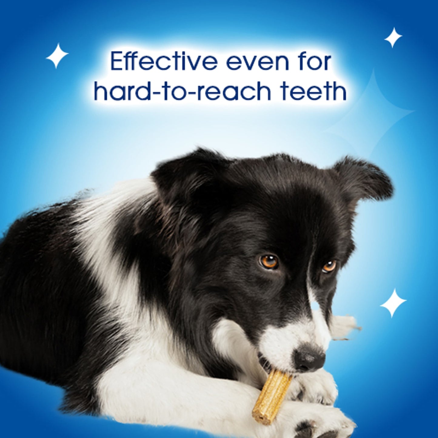 DENTALIFE Medium Dental Chicken Dog Chews 24 Sticks — image 4