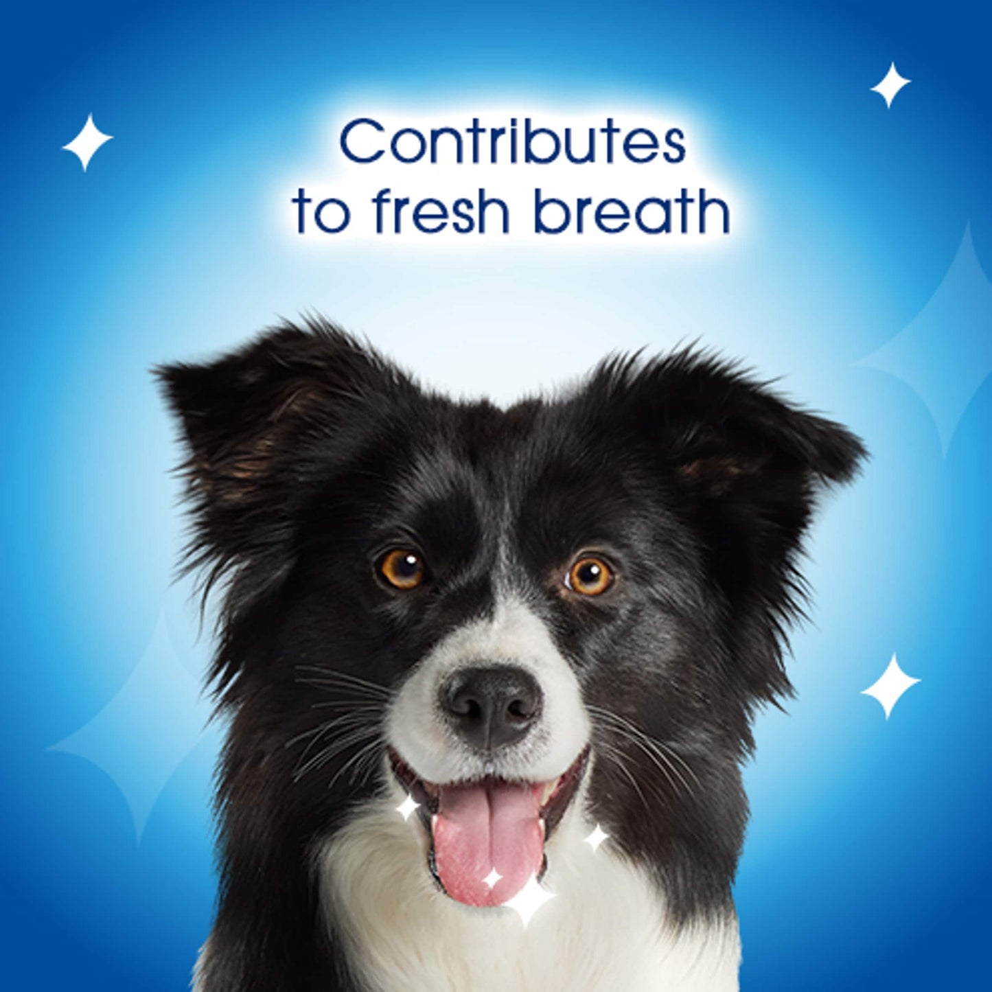 DENTALIFE Medium Dental Chicken Dog Chews 24 Sticks — image 5