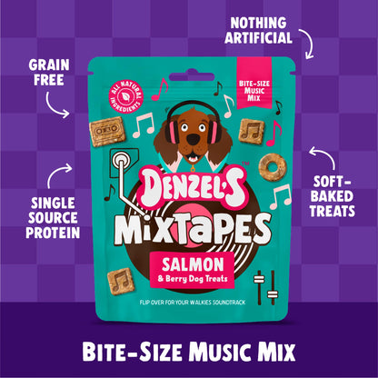 Denzel's Mixtapes - Salmon & Mixed Berries Dog Treats 90g — image 3