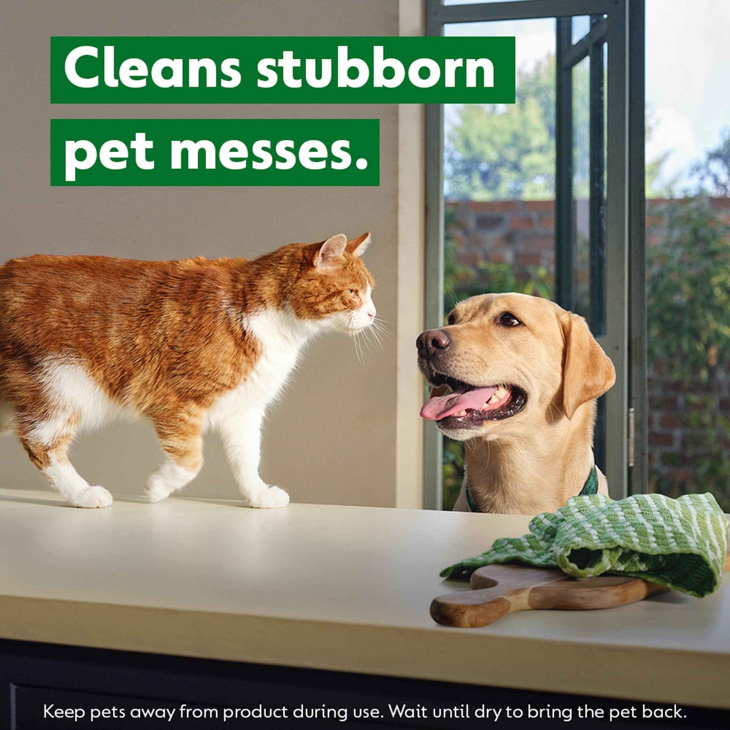 Dettol Homes With Pets Multipurpose Cleaner Fresh Breeze 750ml