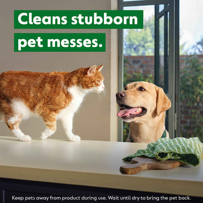 Dettol Homes With Pets Multipurpose Cleaner Fresh Breeze 750ml