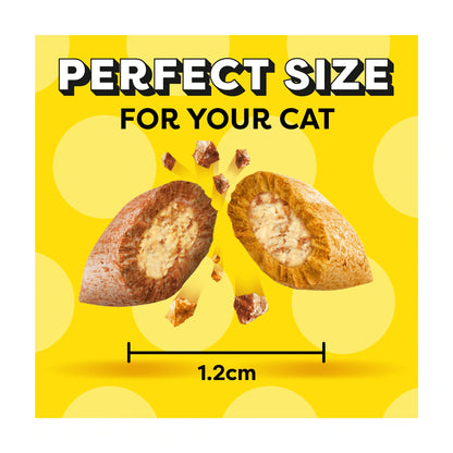 Dreamies Cat Treat Biscuits with Salmon & Cheese 60g — image 3