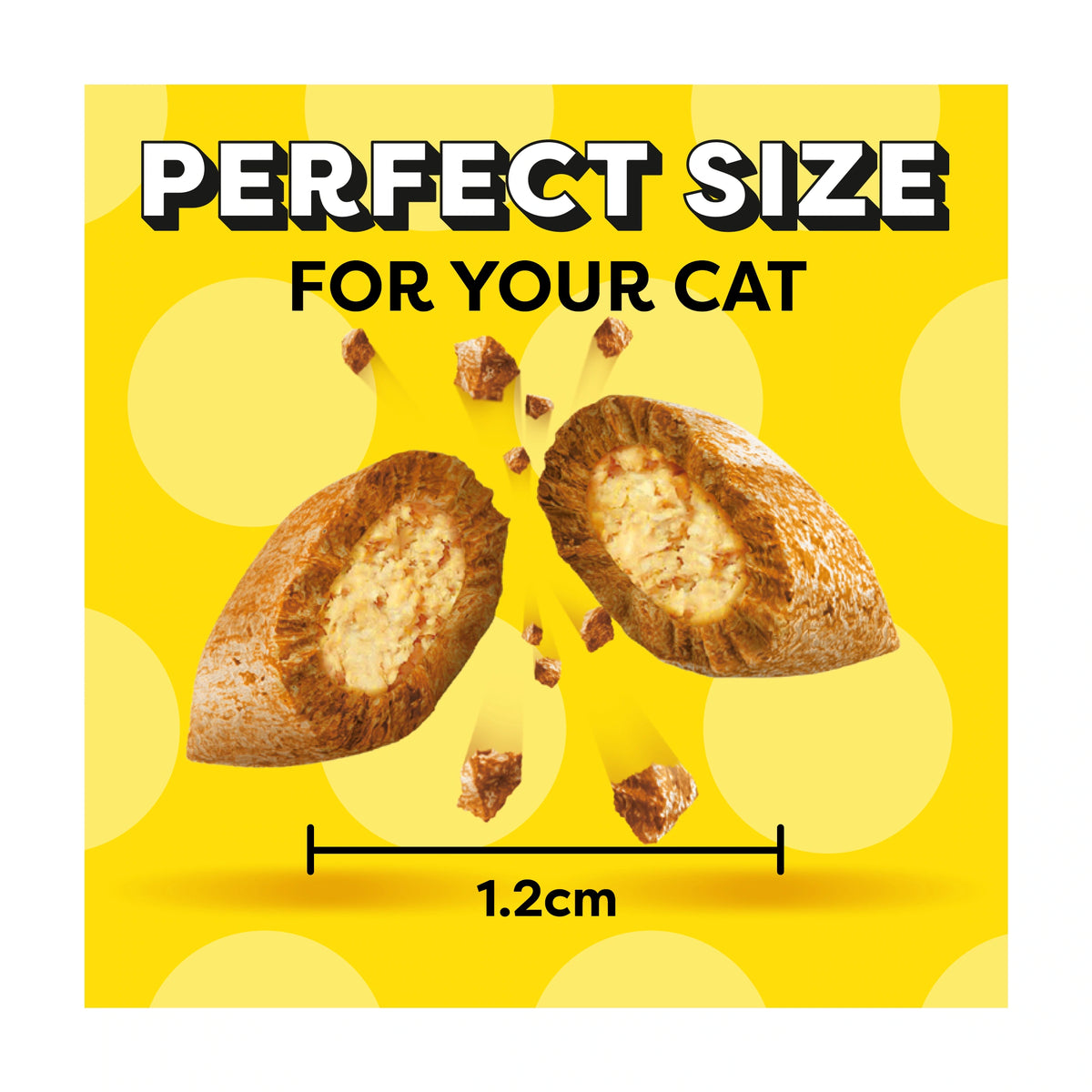 Dreamies Cat Treat Biscuits with Salmon & Tuna 60g — image 3