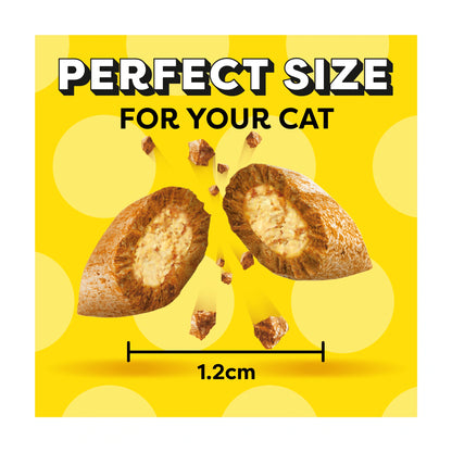 Dreamies Cat Treat Biscuits with Salmon & Tuna 60g — image 3