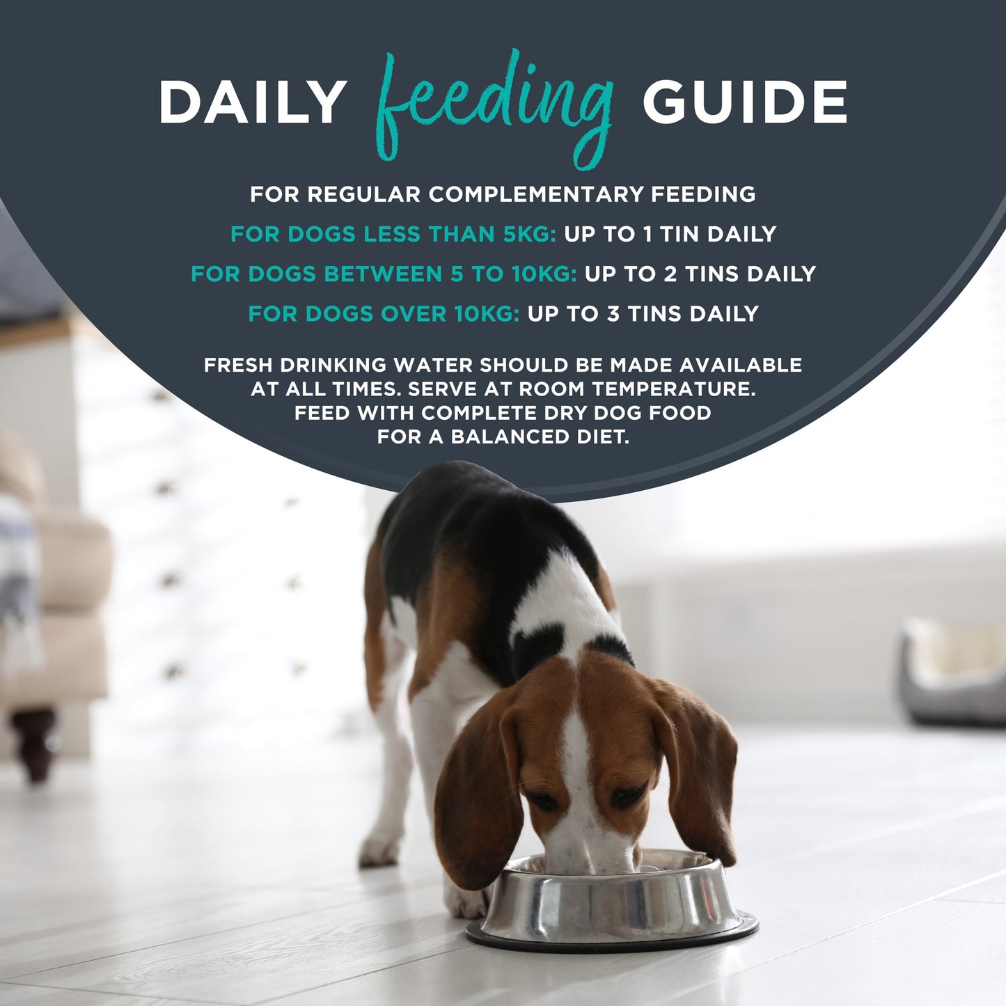 Encore Dog Tins Meat Selection in Gravy 8x156g — image 4