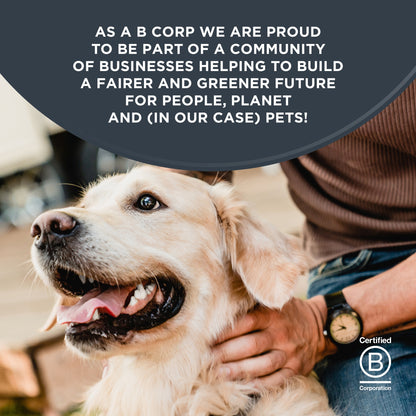 Encore Finest Selection In Jelly Dog Pouches 5X100g — image 5