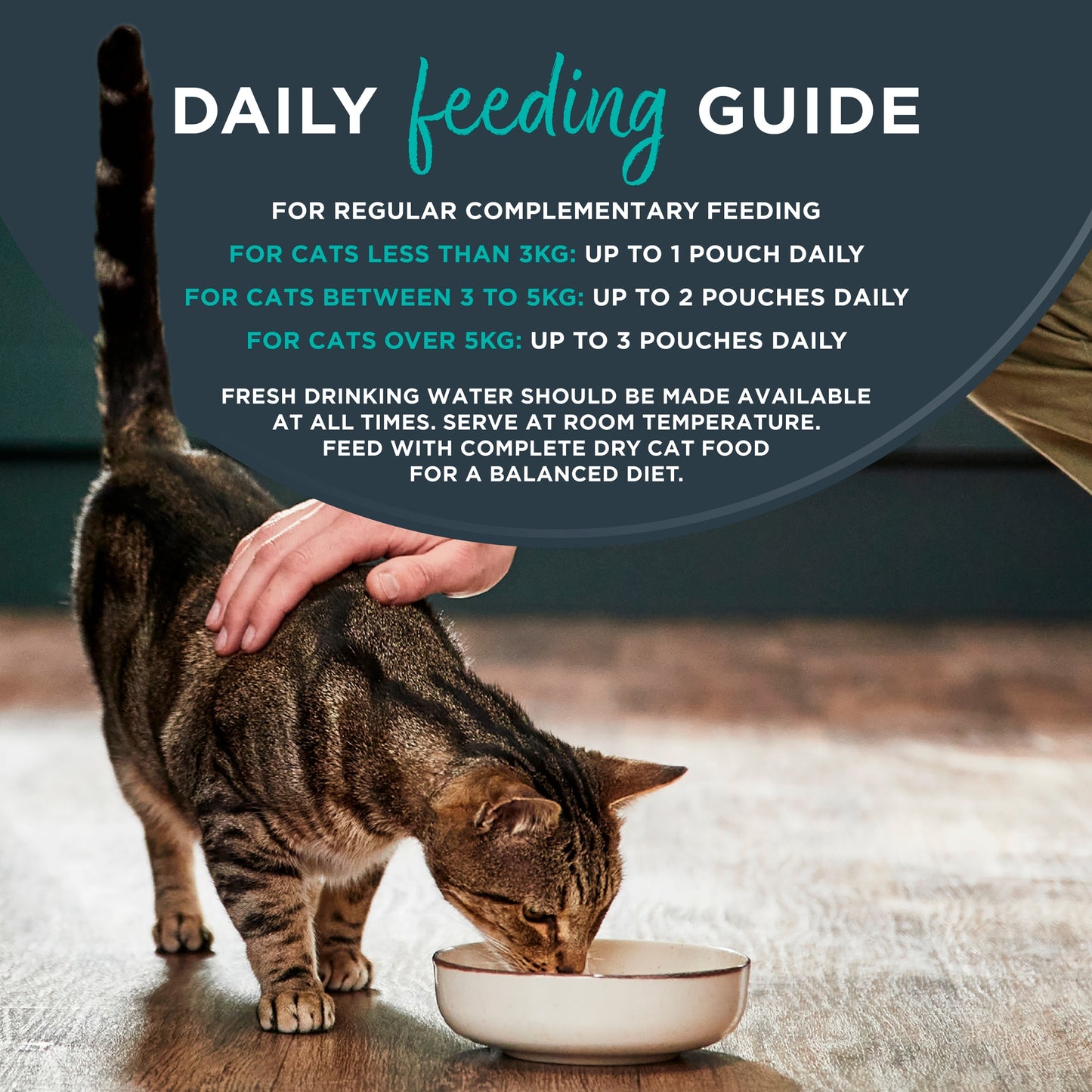 Encore Fish Selection In Gravy Cat Food 5 x 50g — image 4