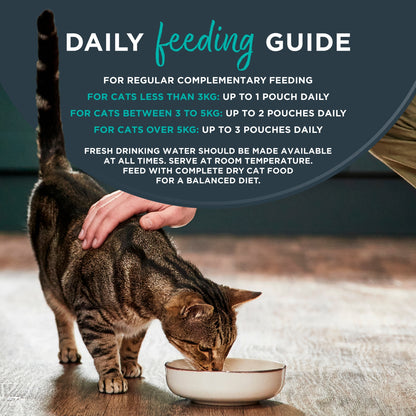 Encore Fish Selection In Gravy Cat Food 5 x 50g — image 4