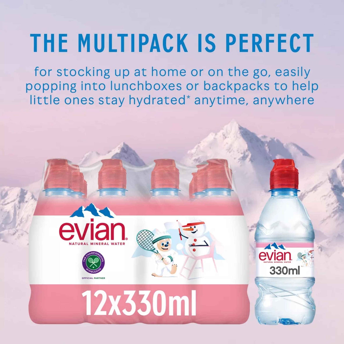EVIAN Natural Mineral Water 12x330ml