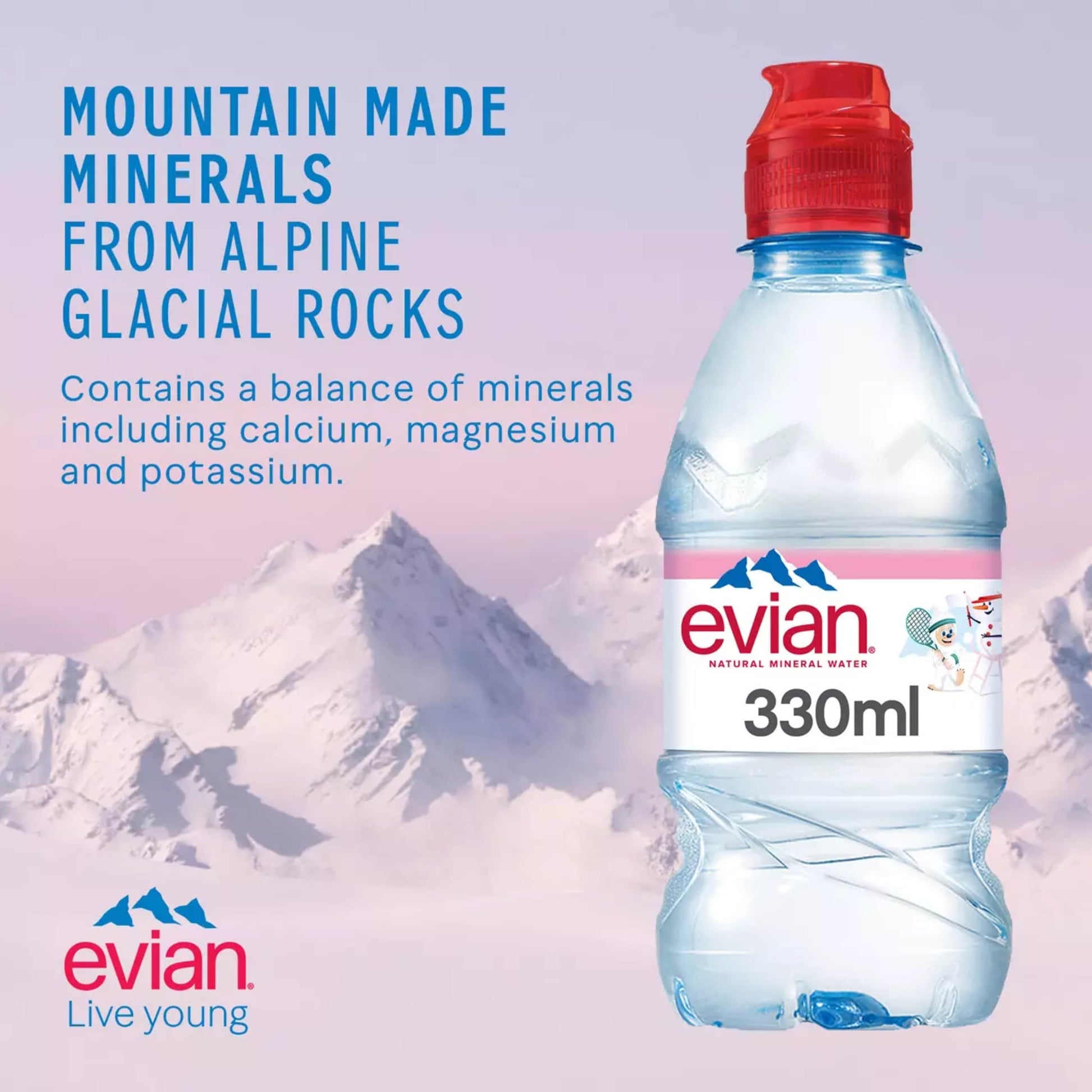 Evian Natural Mineral water 12x330ml — image 4