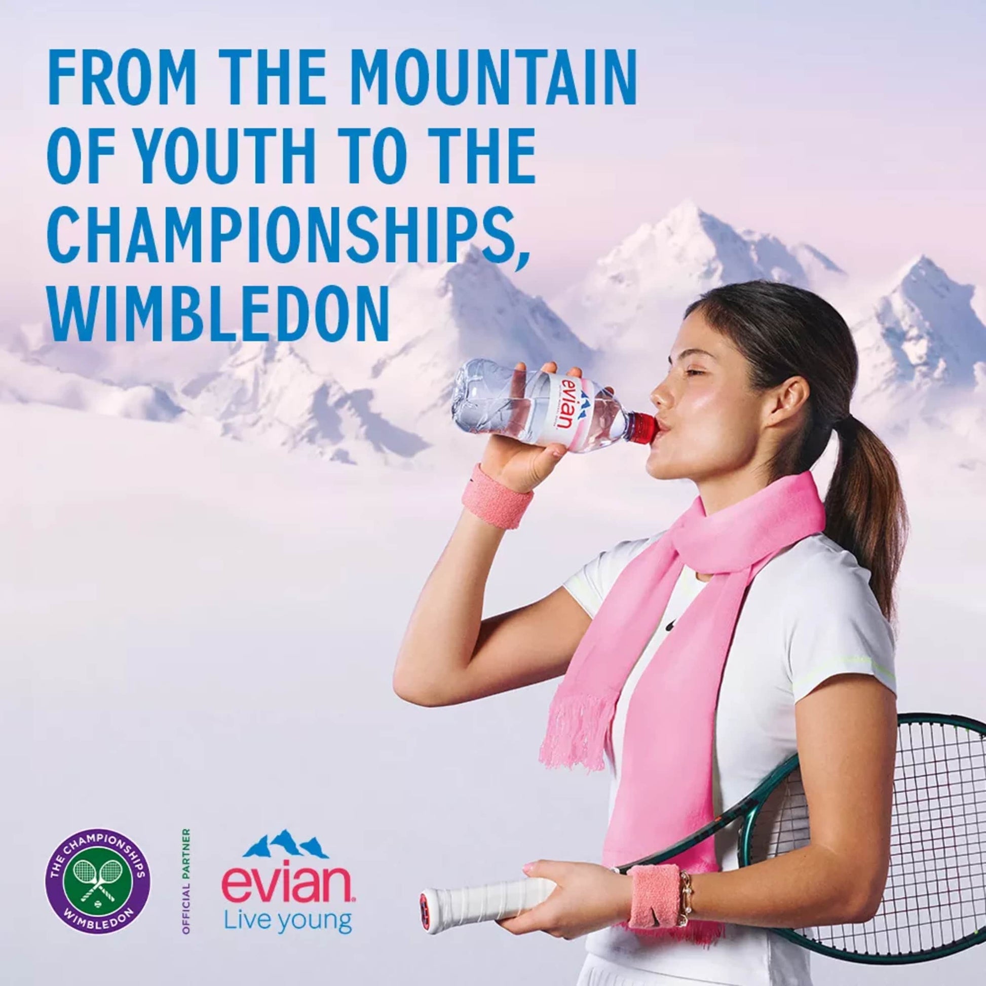 Evian Natural Mineral water 12x330ml — image 5