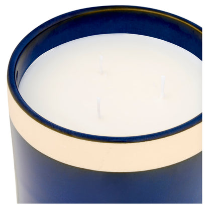 F&F Home In the Garden Wild Bramble Large Candle 600g — image 2