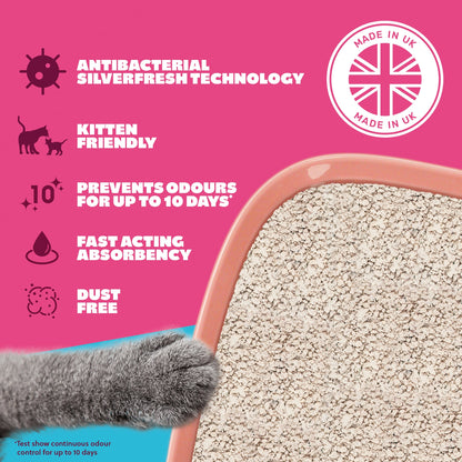 Felight Non Clumping Cat Litter 10L — image 3