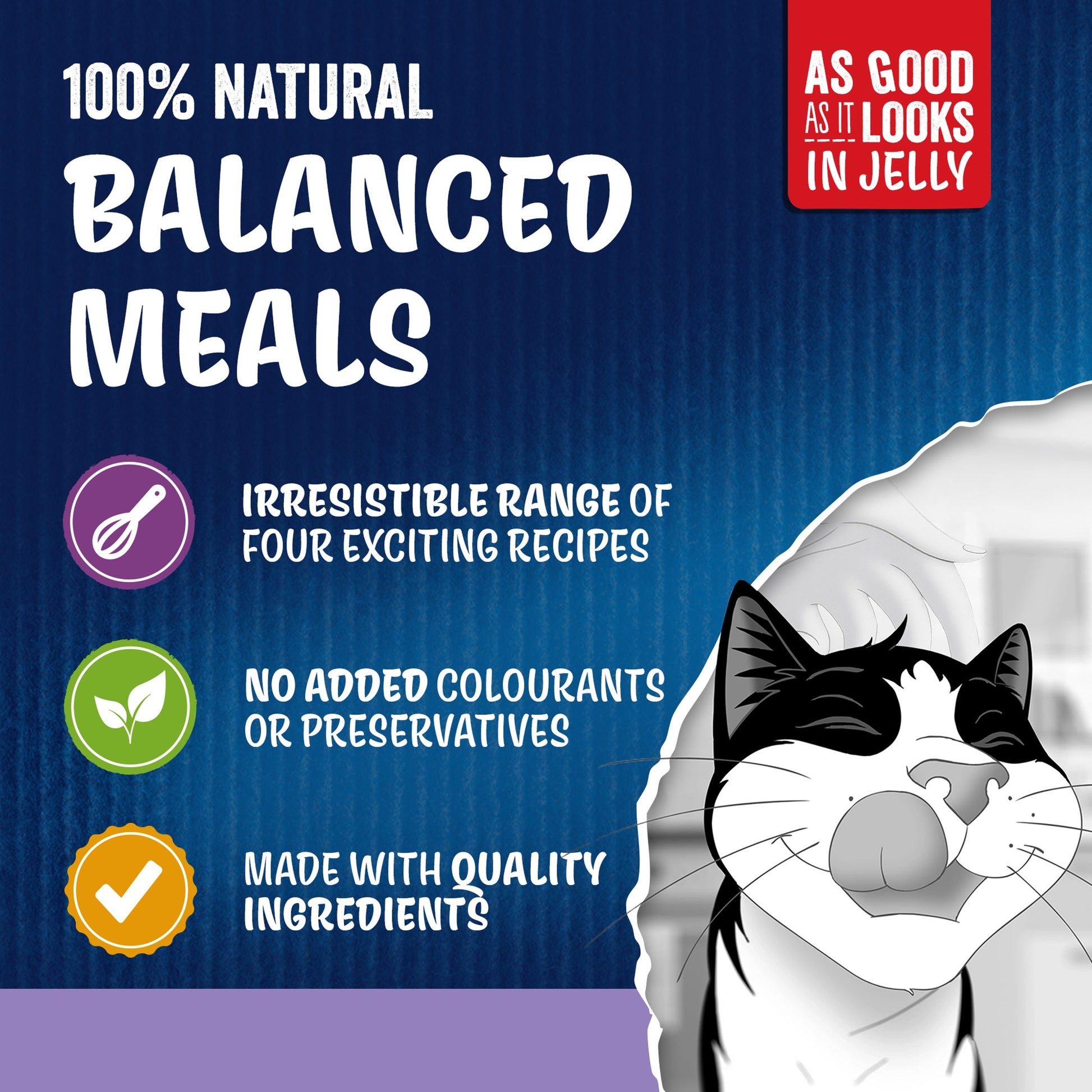 Felix As Good As it Looks Favourites Selection Wet Cat Food 12x85g — image 4