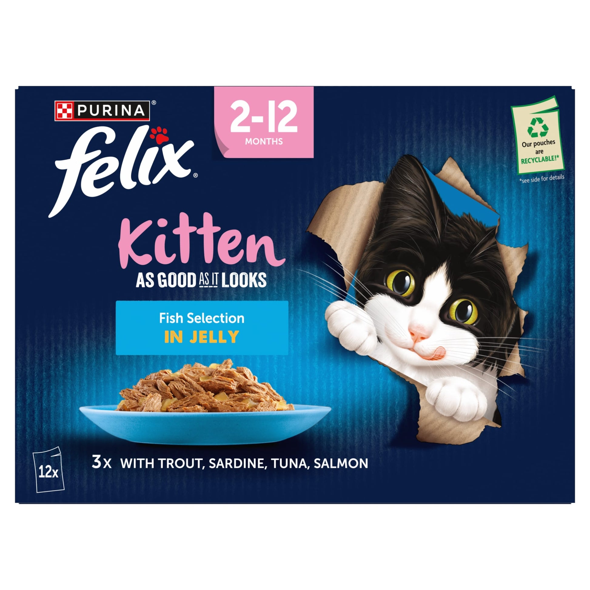 Felix As Good As it Looks Kitten Fish in Jelly Wet Cat Food 12x85g — image 2
