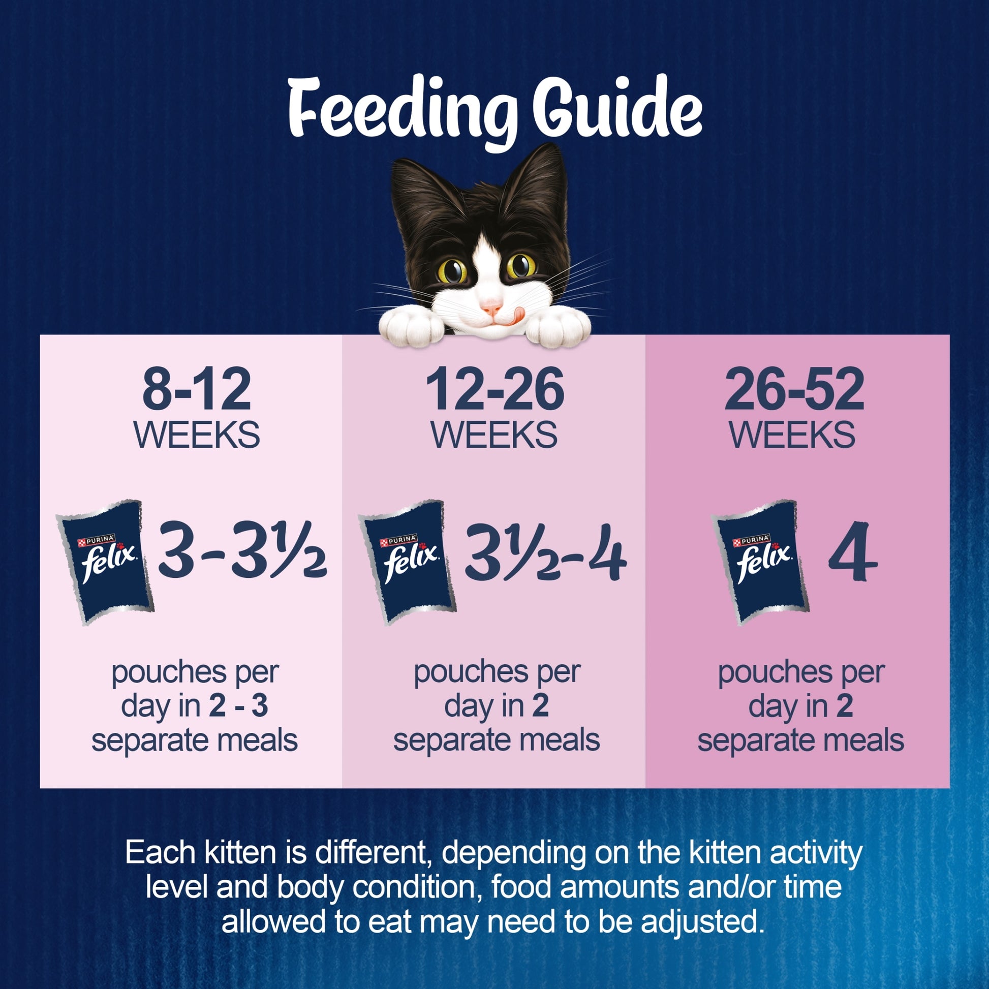 Felix As Good As it Looks Kitten Fish in Jelly Wet Cat Food 12x85g — image 4