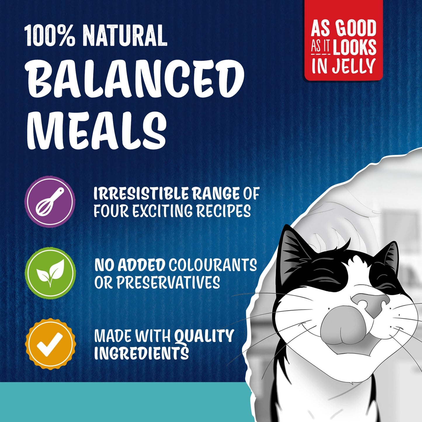 FELIX As Good As it Looks Ocean Feasts in Jelly Wet Cat Food 40x85g — image 4