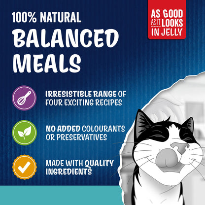 FELIX As Good As it Looks Ocean Feasts in Jelly Wet Cat Food 40x85g — image 4