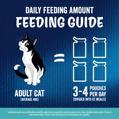 FELIX As Good As it Looks Ocean Feasts in Jelly Wet Cat Food 40x85g — image 7