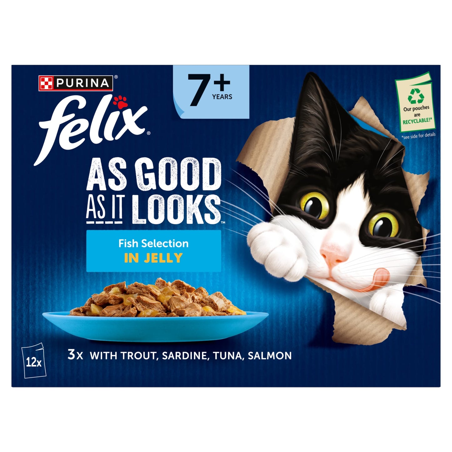 Felix As Good As it Looks Senior 7+ Fish in Jelly Wet Cat Food 12x85g — image 2