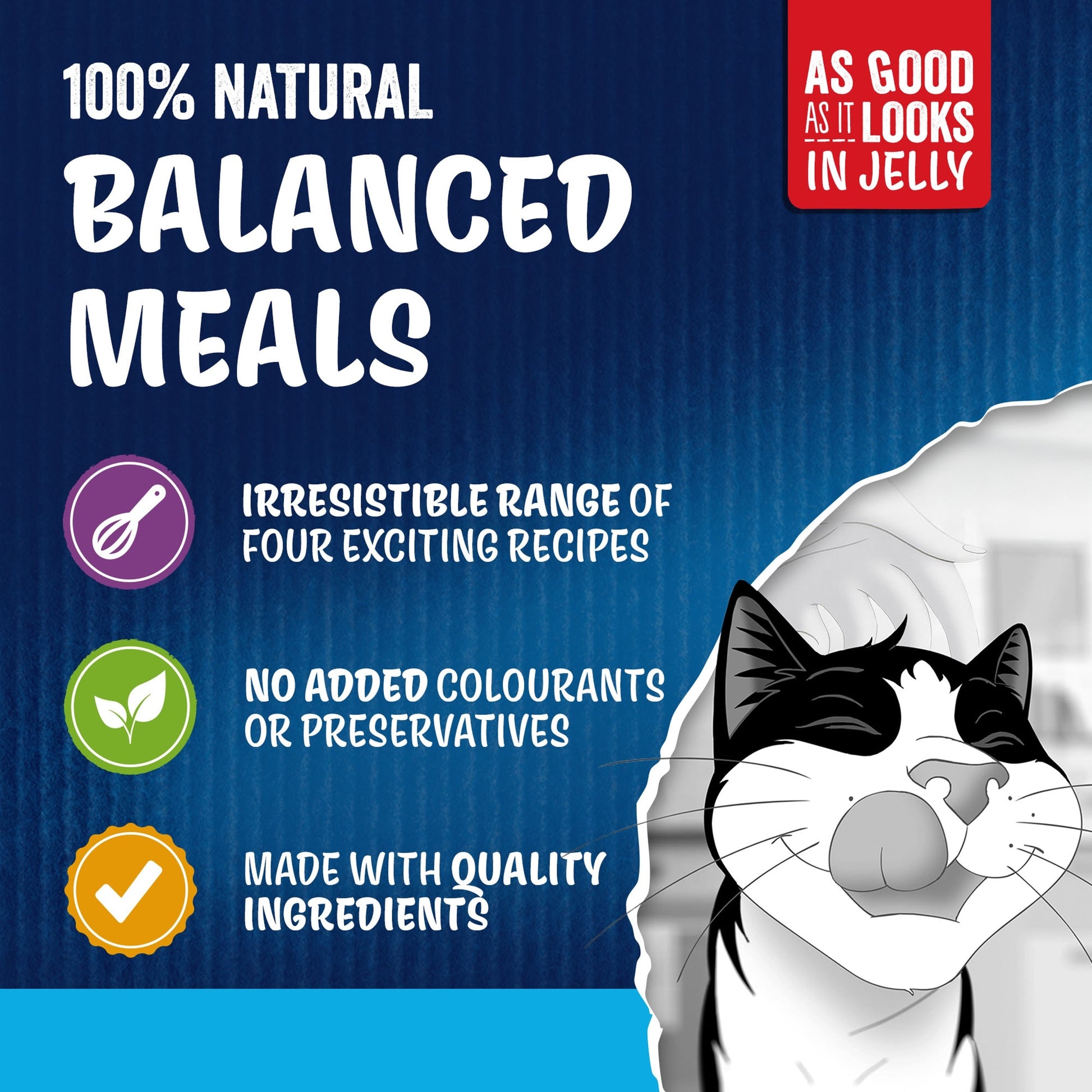 Felix As Good As it Looks Senior 7+ Fish in Jelly Wet Cat Food 12x85g — image 4