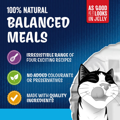 Felix As Good As it Looks Senior 7+ Fish in Jelly Wet Cat Food 12x85g — image 4